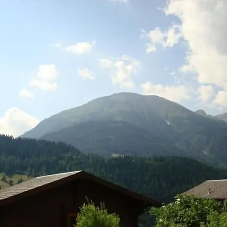 Baerli By Interhome Apartment Fiesch