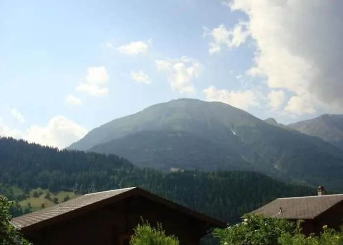 Baerli By Interhome Apartment Fiesch